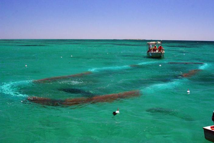 Image of the James Matthews wreck site
